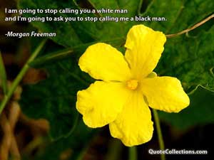 morgan_freeman_quotes Quotes 4